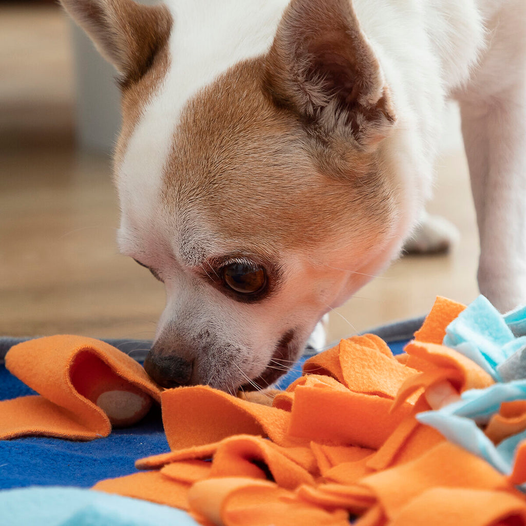 Alfombra olfativa plegable para perros Nuzzo