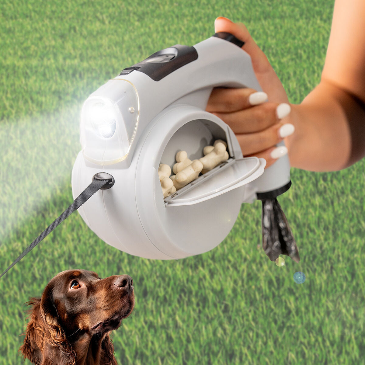 Correa extensible 6 en 1 para perros Nuzzo con linterna LED
